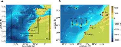 Low-level jets drive the summer intra-seasonal variability of the Canary upwelling system